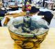 Temple Hole Teak Table