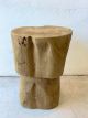 The Bulb Stump Stool