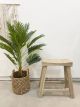 Teak Stool LEVI